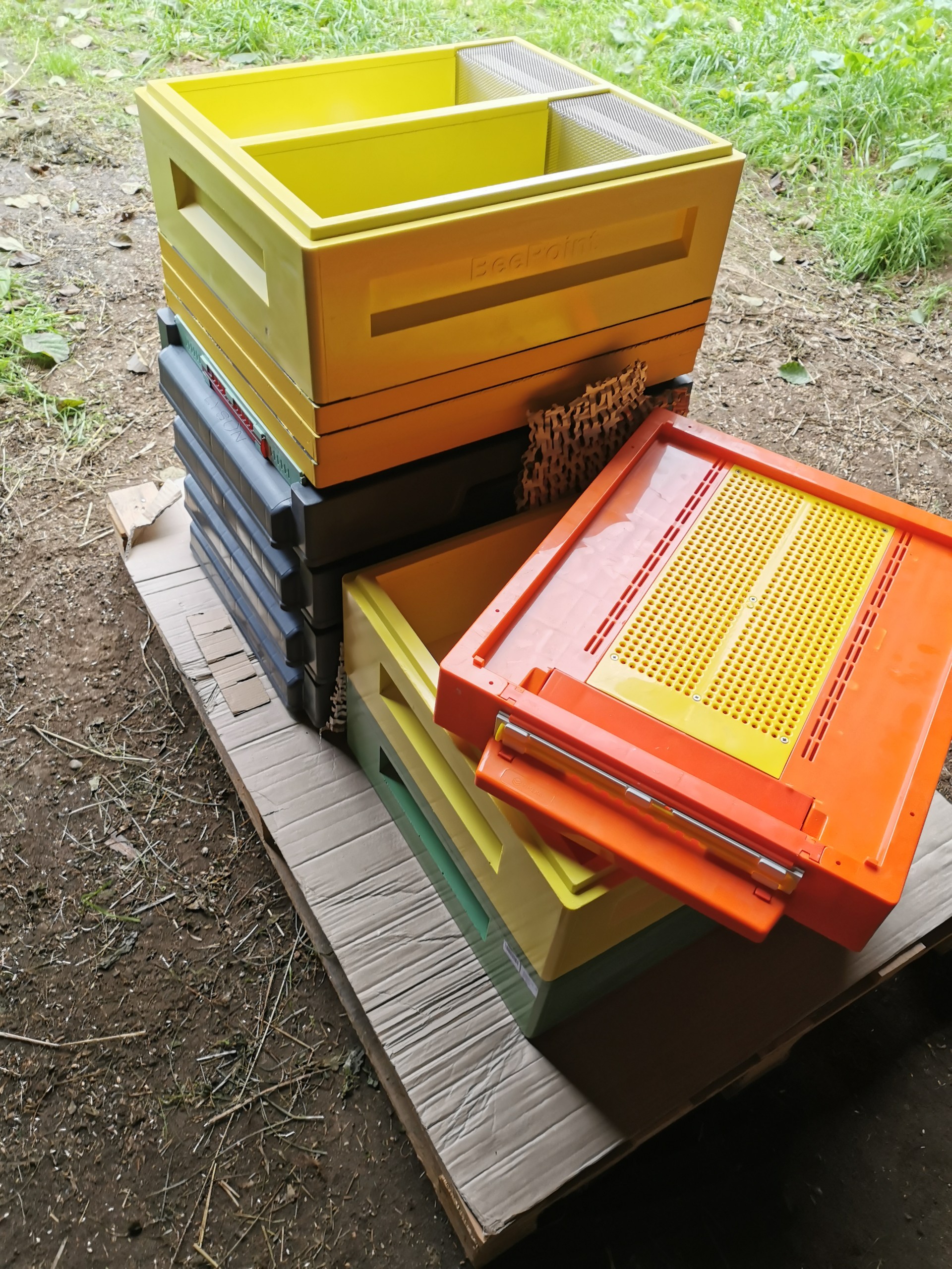 2024 11 19 projektas