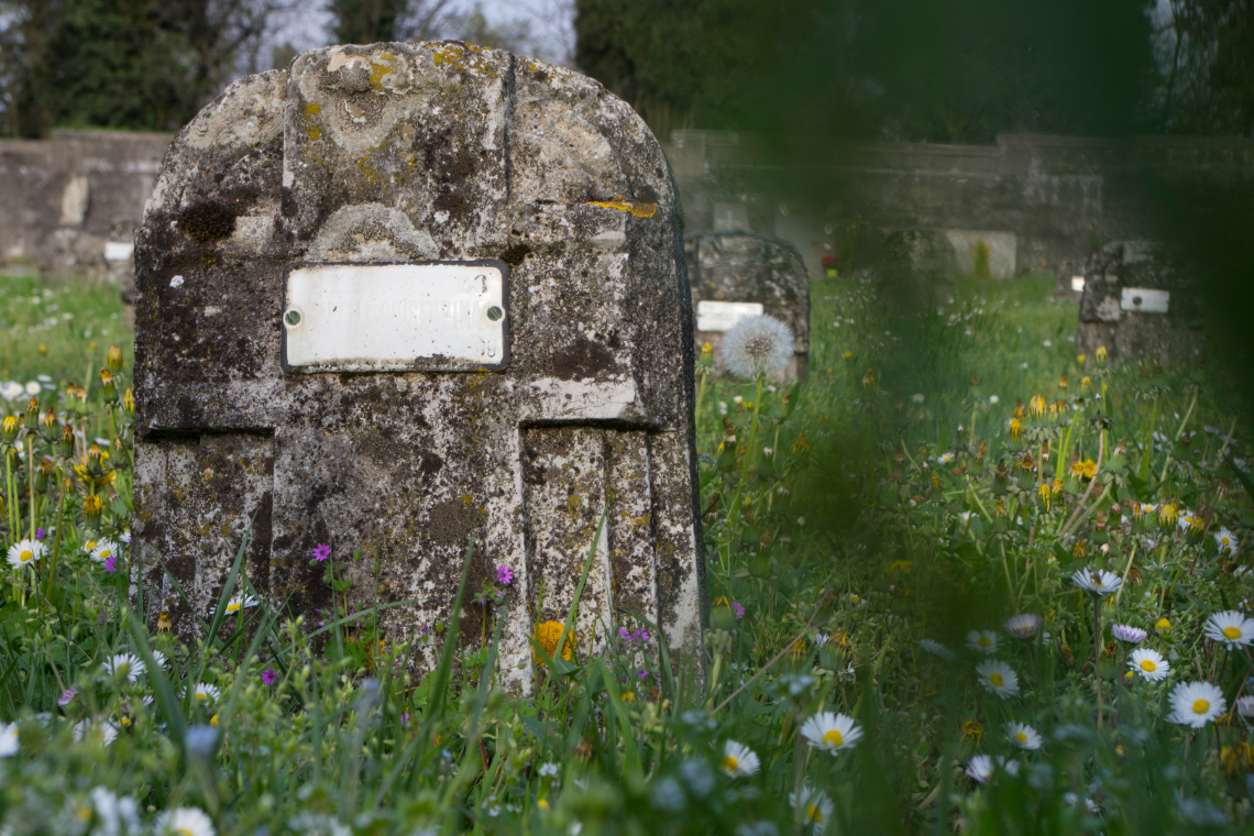 2025 07 11 kapavietes